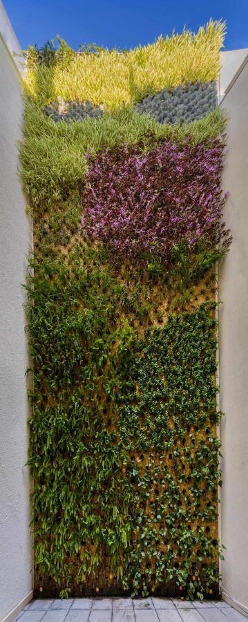 Nature By Raidom — Fotos 3